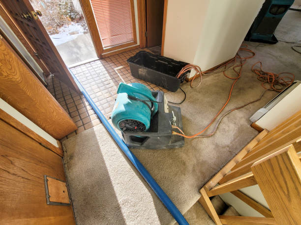 Water damage restoration insurance claims in Brisbane, CA