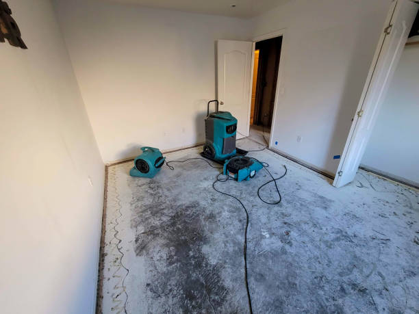 Best Water damage restoration near me  in Brisbane, CA
