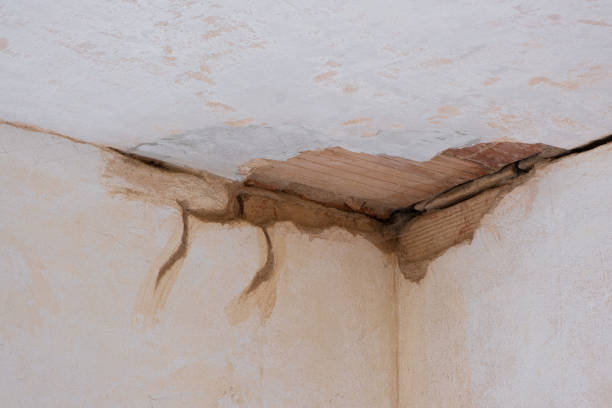 Water damage restoration experts in Brisbane, CA