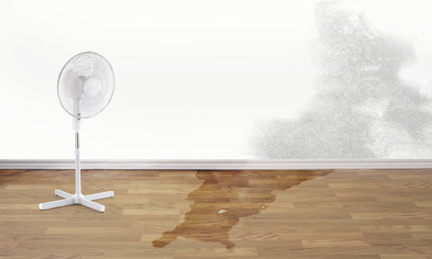 Professional Water damage restoration in Brisbane, CA