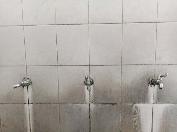 Best Water damage mitigation services  in Brisbane, CA