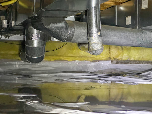 Best Ceiling water damage repair  in Brisbane, CA