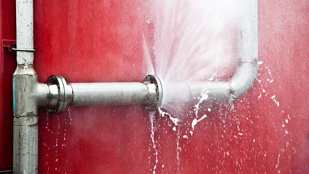 Best Flood damage cleanup  in Brisbane, CA